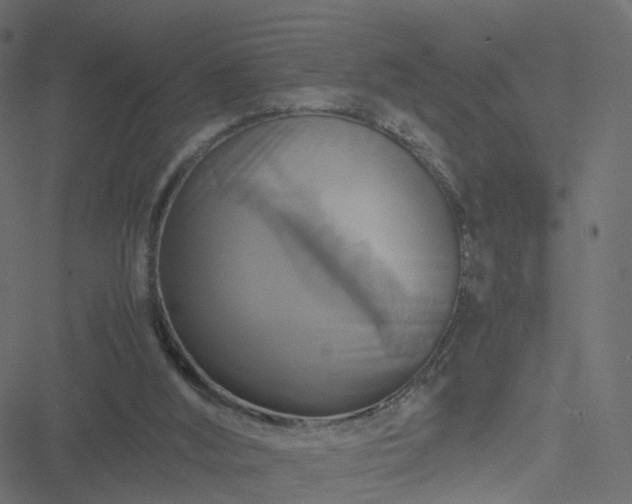 X0000051240012200506241533