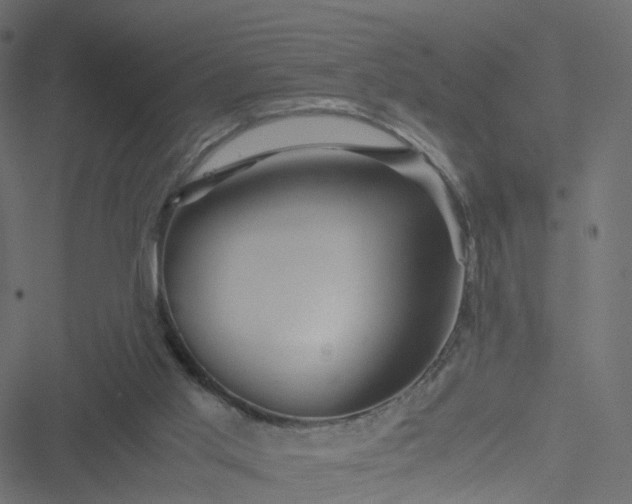 X0000051240013200506241533