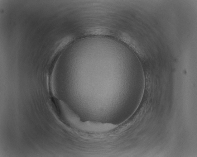 X0000051240014200506241533