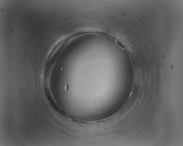 X0000051240015200506241533