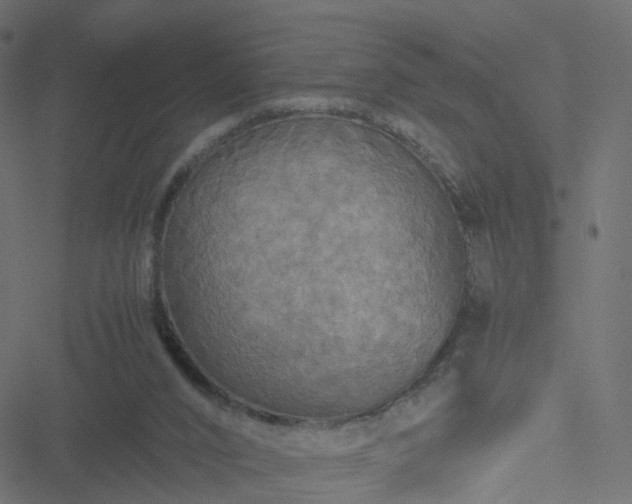 X0000051240016200506241533