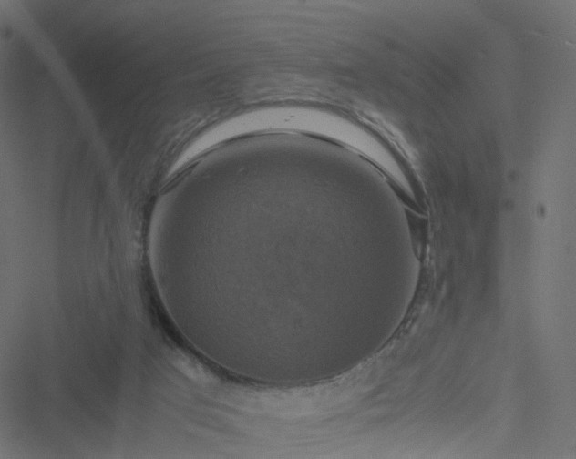 X0000051240017200506241533