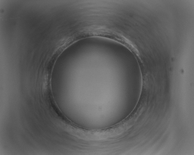 X0000051240018200506241533