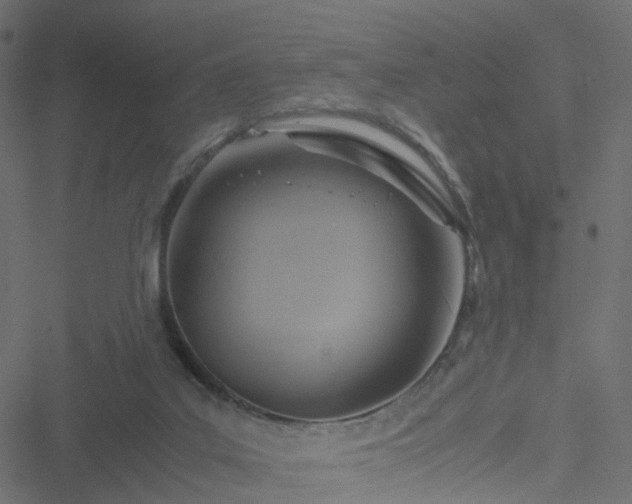 X0000051240019200506241533