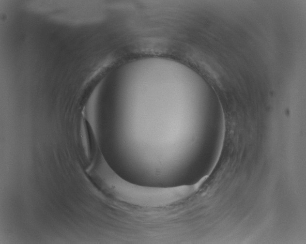 X0000051240020200506241533