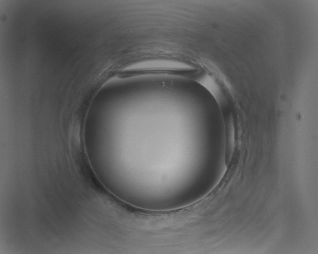 X0000051240021200506241533