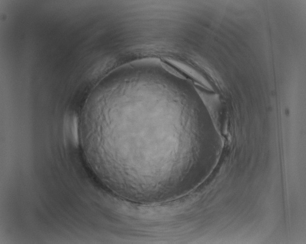 X0000051240022200506241533