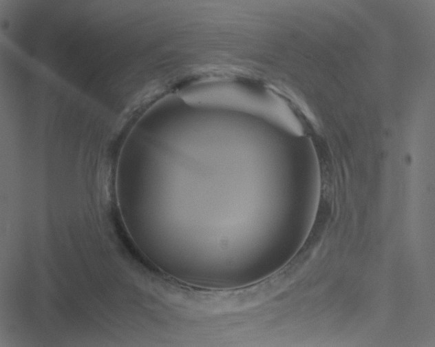 X0000051240023200506241533