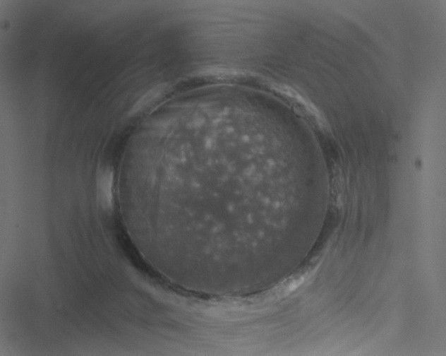 X0000051240024200506241533