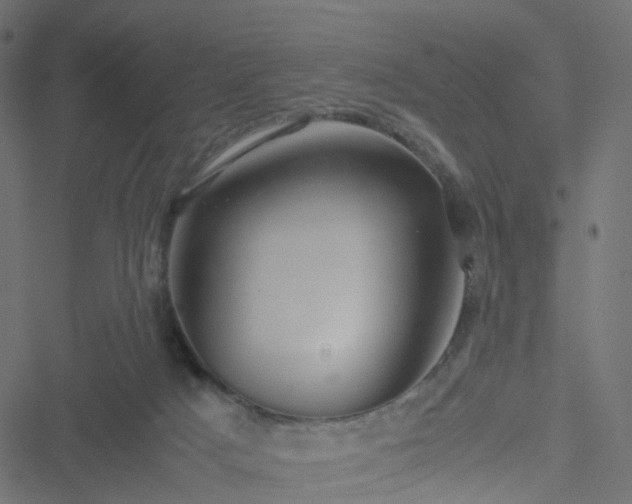 X0000051240025200506241533