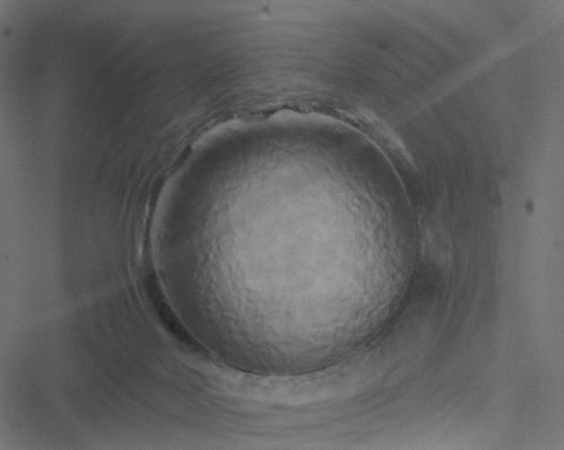 X0000051240026200506241533