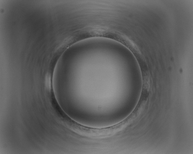 X0000051240027200506241533