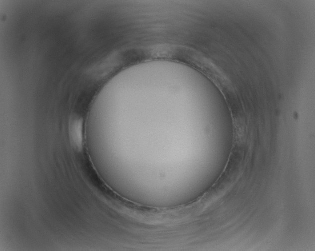 X0000051240028200506241533