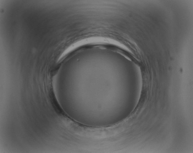 X0000051240029200506241532