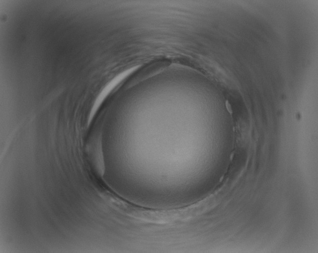 X0000051240033200506241532