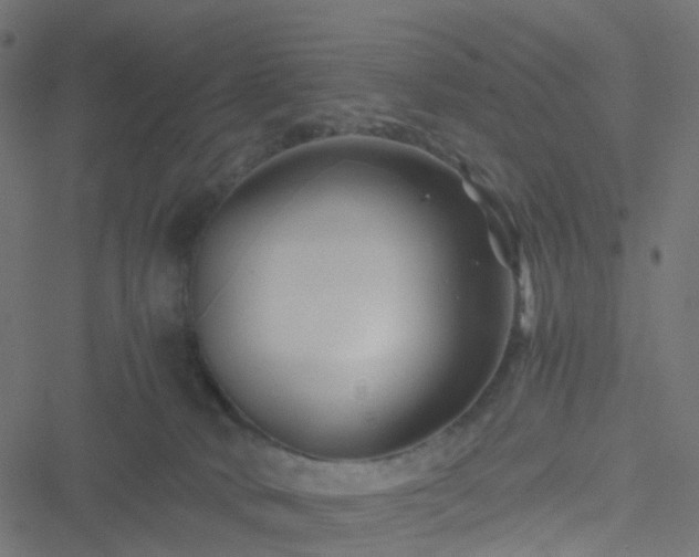 X0000051240034200506241532