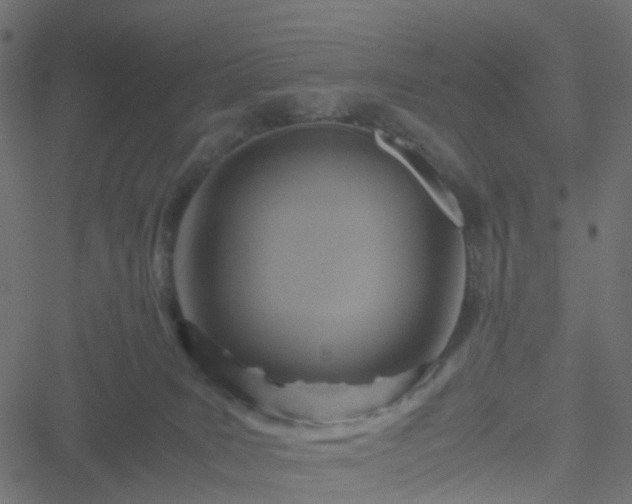 X0000051240035200506241532