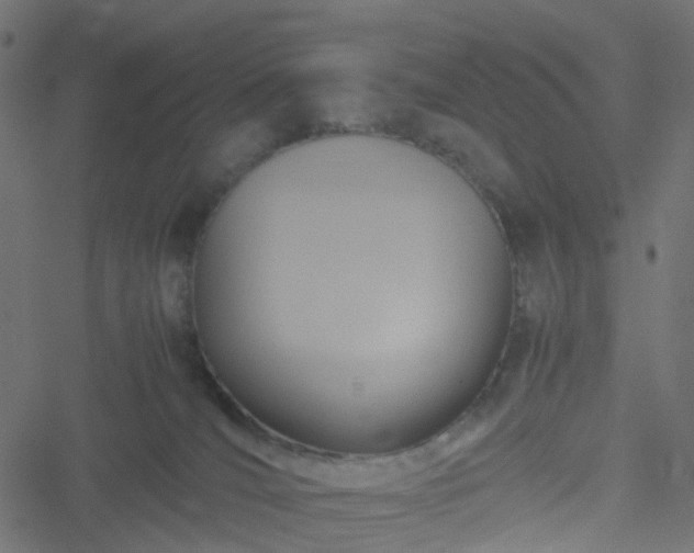 X0000051240036200506241532