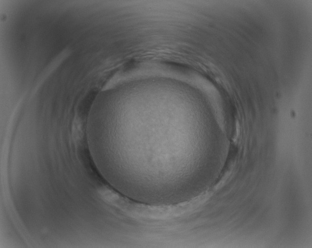 X0000051240037200506241532