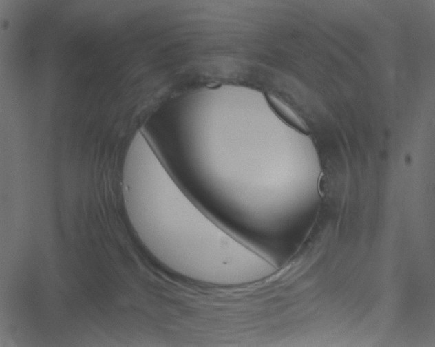 X0000051240040200506241532