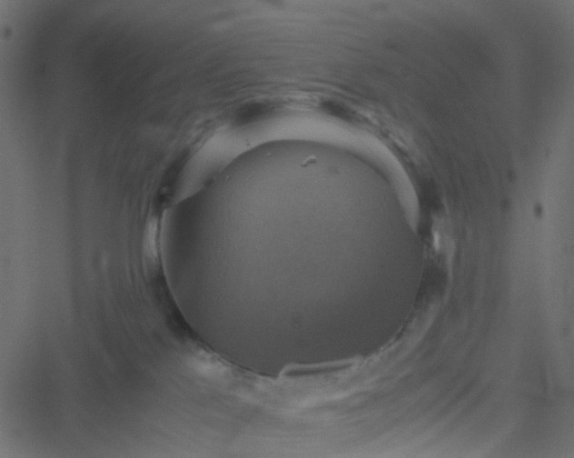 X0000051240041200506241532