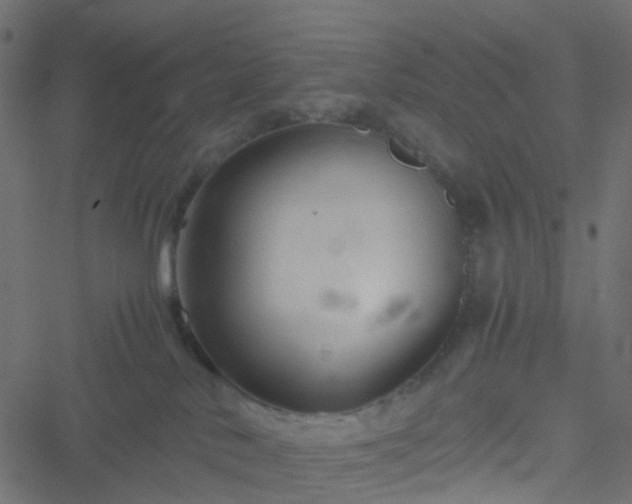 X0000051240042200506241532