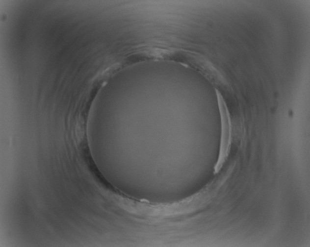 X0000051240043200506241532