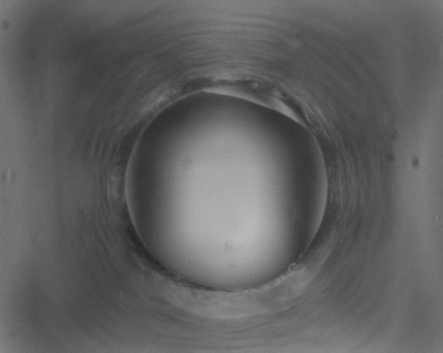 X0000051240044200506241532