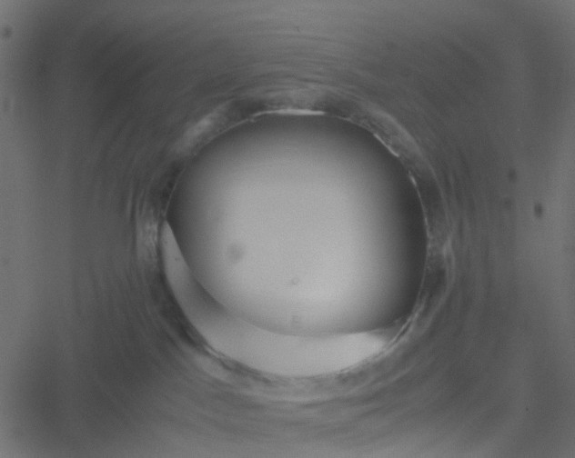 X0000051240045200506241532