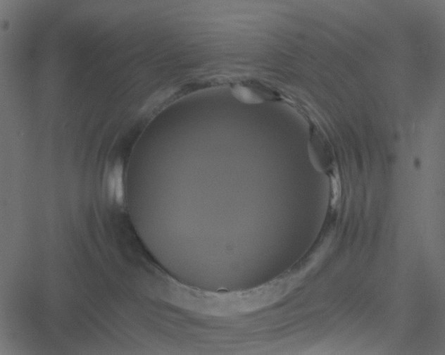 X0000051240046200506241532