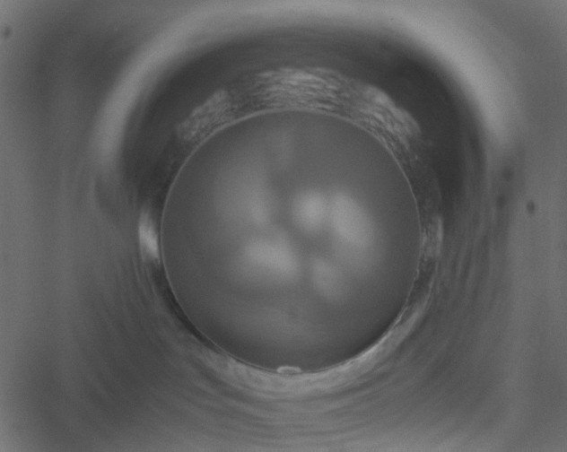 X0000051240047200506241532