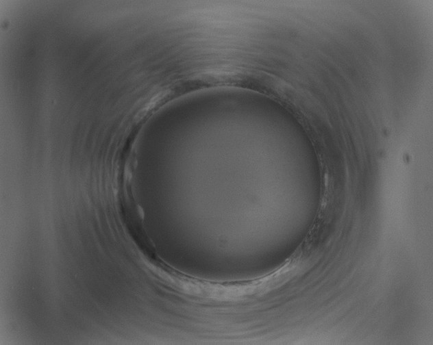 X0000051240048200506241532