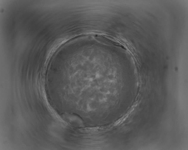 X0000051240049200506241531