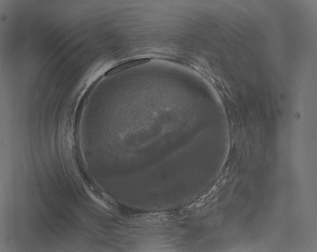 X0000051240050200506241531