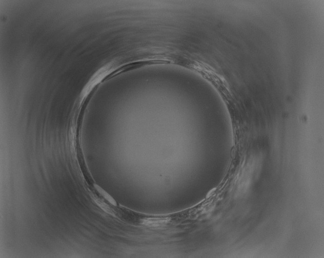 X0000051240051200506241531