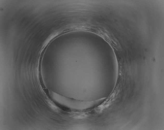 X0000051240052200506241531