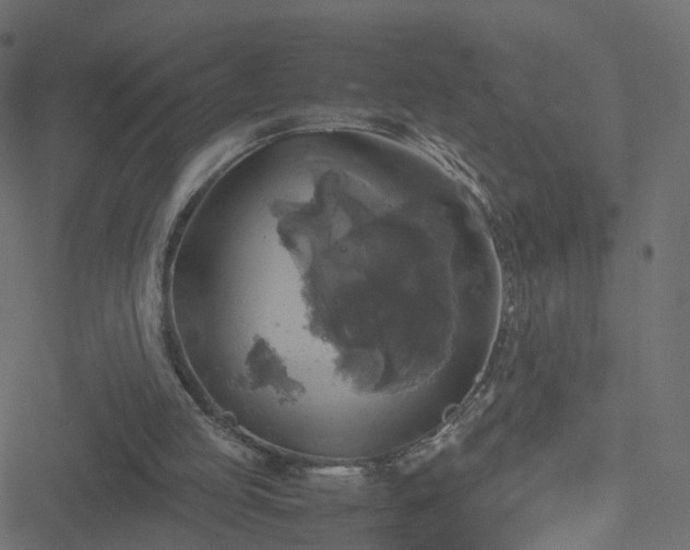 X0000051240053200506241531