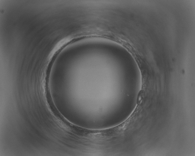 X0000051240054200506241531