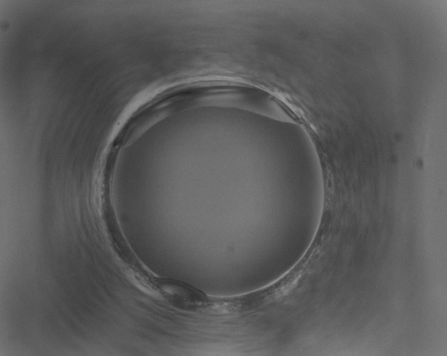 X0000051240056200506241532