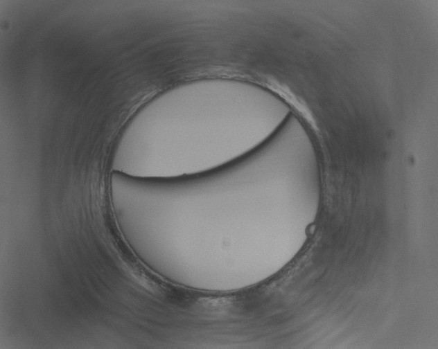 X0000051240057200506241532