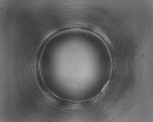 X0000051240058200506241532