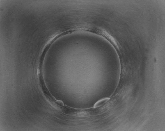 X0000051240059200506241532