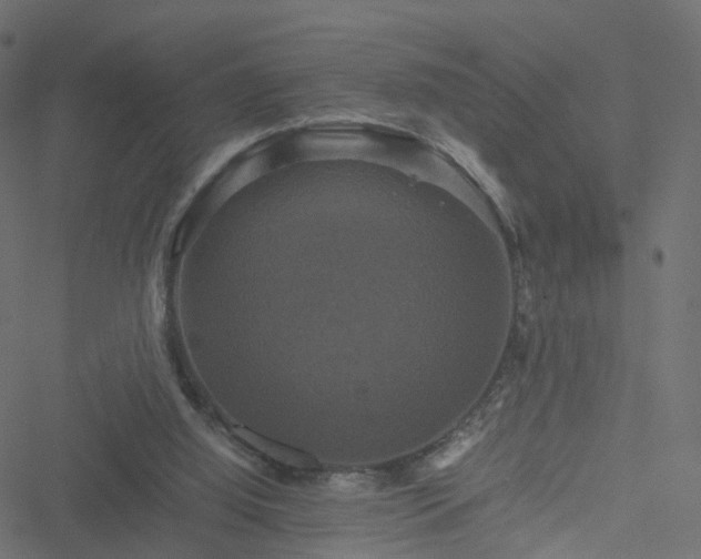 X0000051240060200506241532