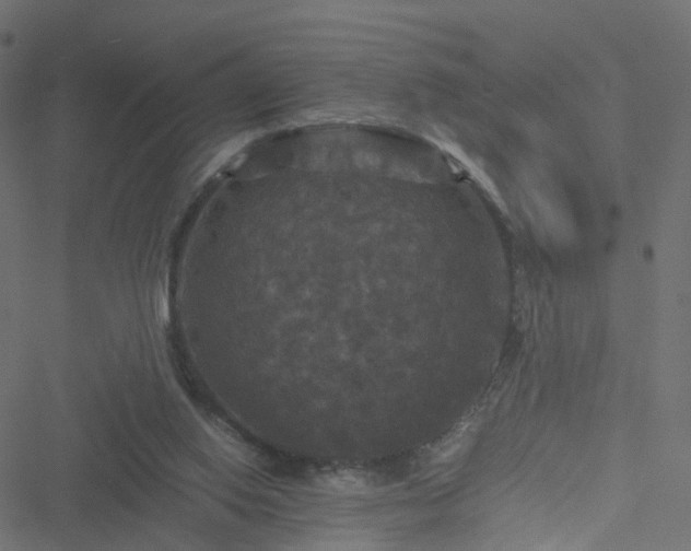 X0000051240062200506241532