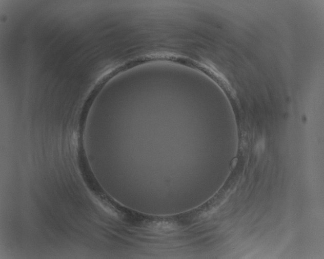 X0000051240063200506241532