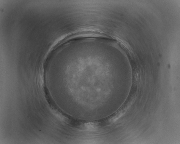 X0000051240064200506241532