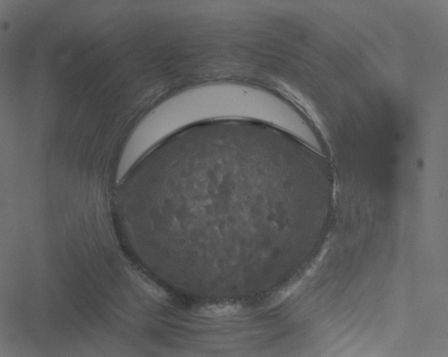 X0000051240065200506241532