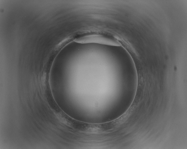 X0000051240066200506241532