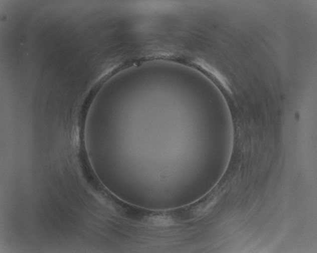 X0000051240067200506241532