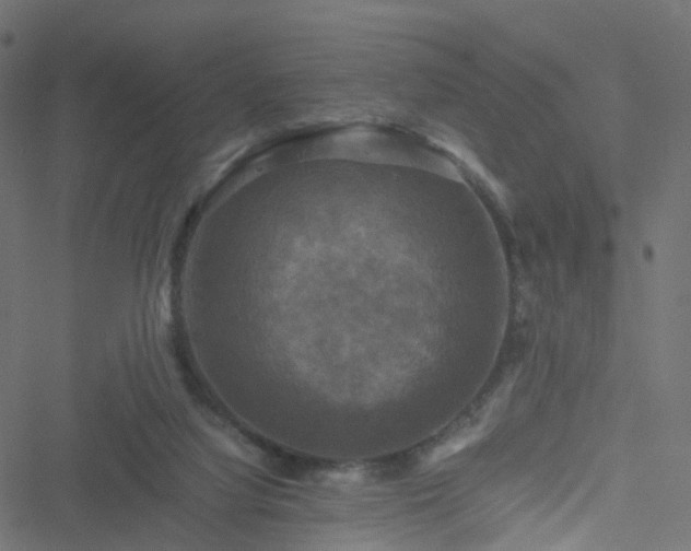 X0000051240068200506241532